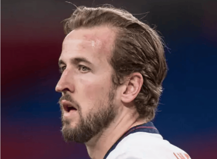 荷兰力克瑞典,哈里·凯恩三分雨点燃全场 荷兰力克瑞典,哈里·凯恩三分雨点燃全场