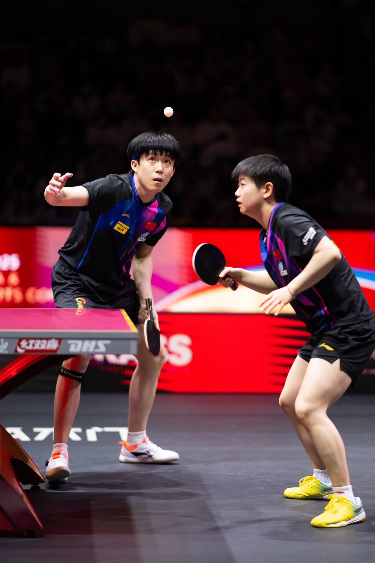 关于乒乓球热度飙升，网友热议不断的信息