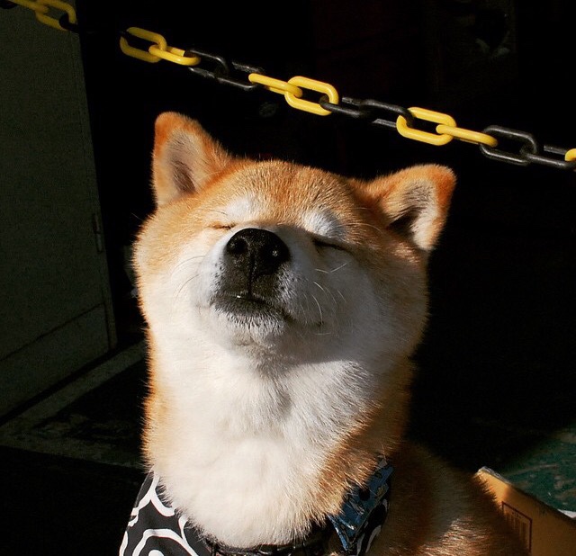 神迹横跨太平洋！辽宁队力克热火，米切尔惊艳四座