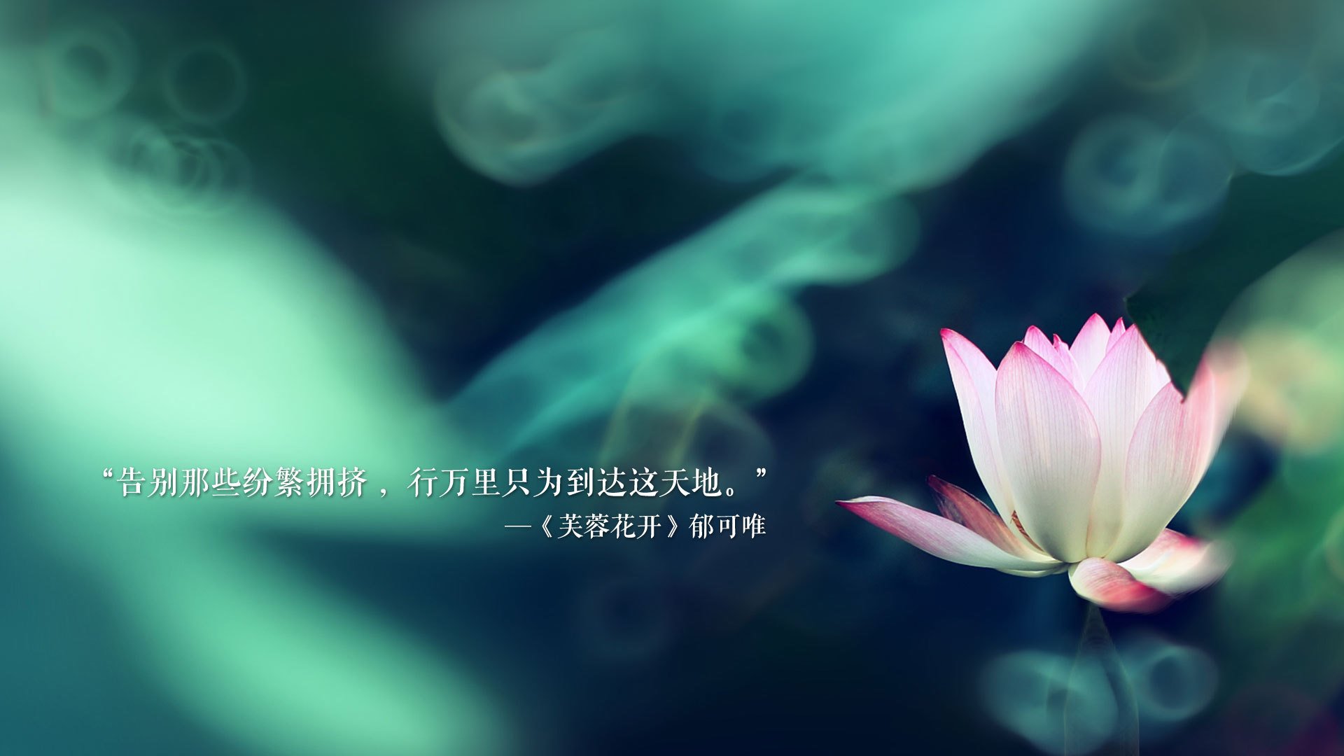 莱奥,喀麦隆的稳定器,安哥拉防线无解的难题
