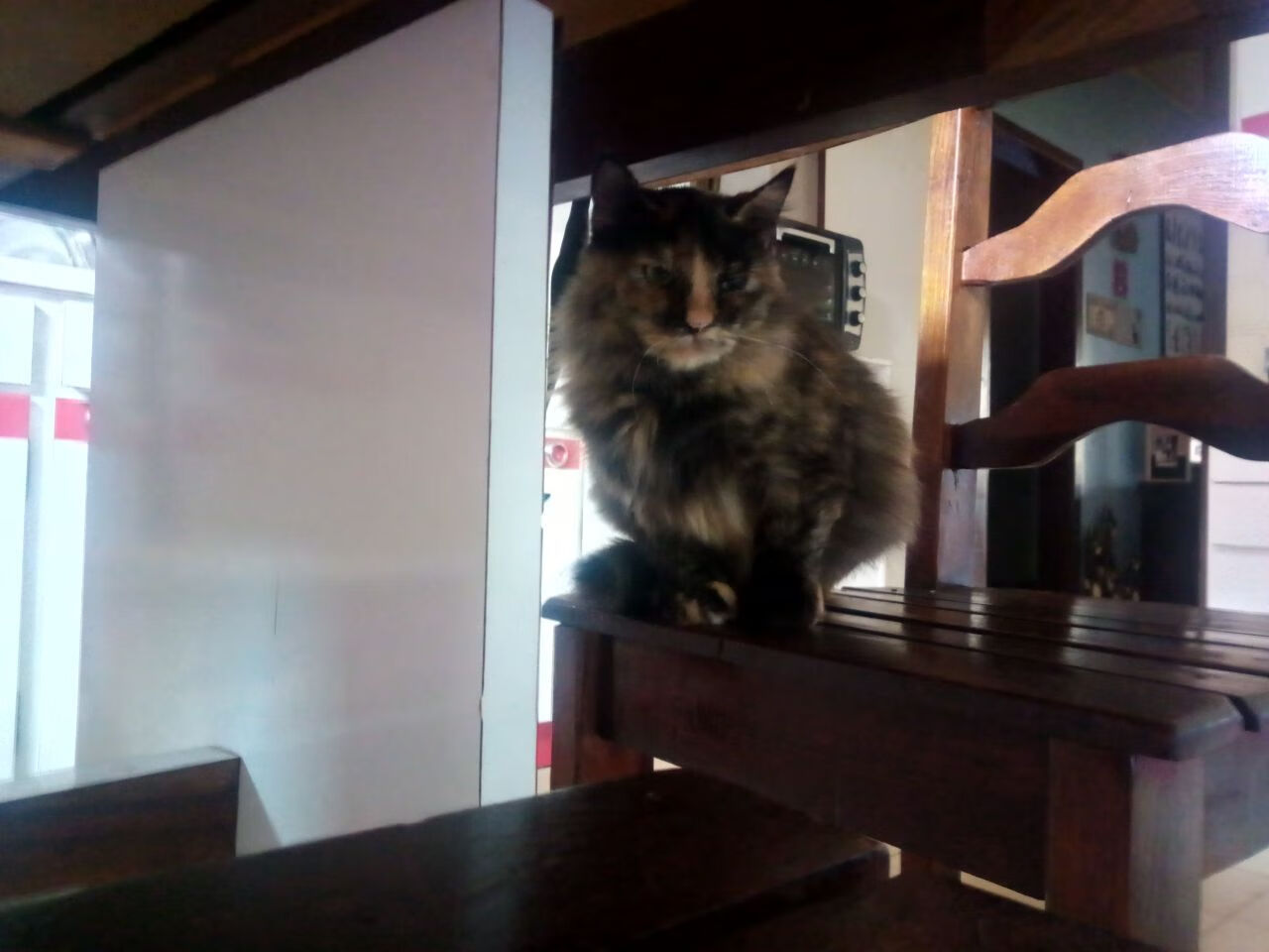 星光与逆袭，萨拉赫独舞难敌几内亚压哨绝杀