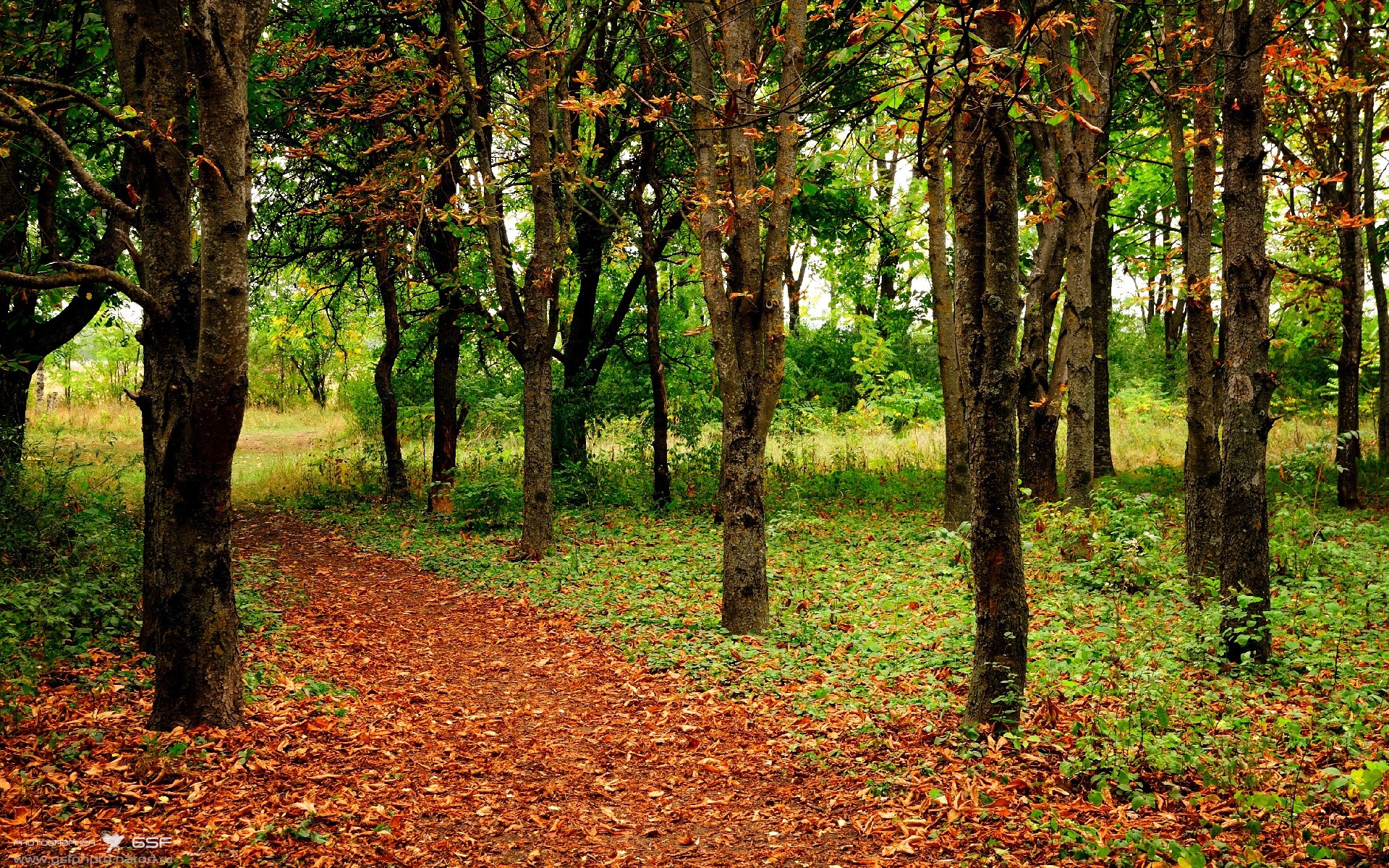 冰火对决！米切尔关键时刻连轰14分，爵士末节一波流击溃辽宁