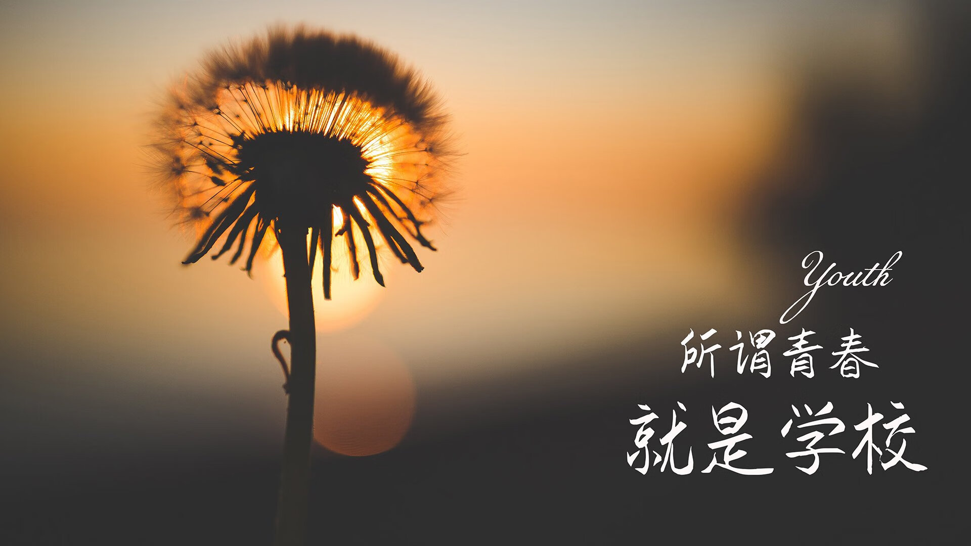 跨越太平洋的对决，当步行者遇见深圳，英格拉姆用稳定书写数据不会说谎的真理