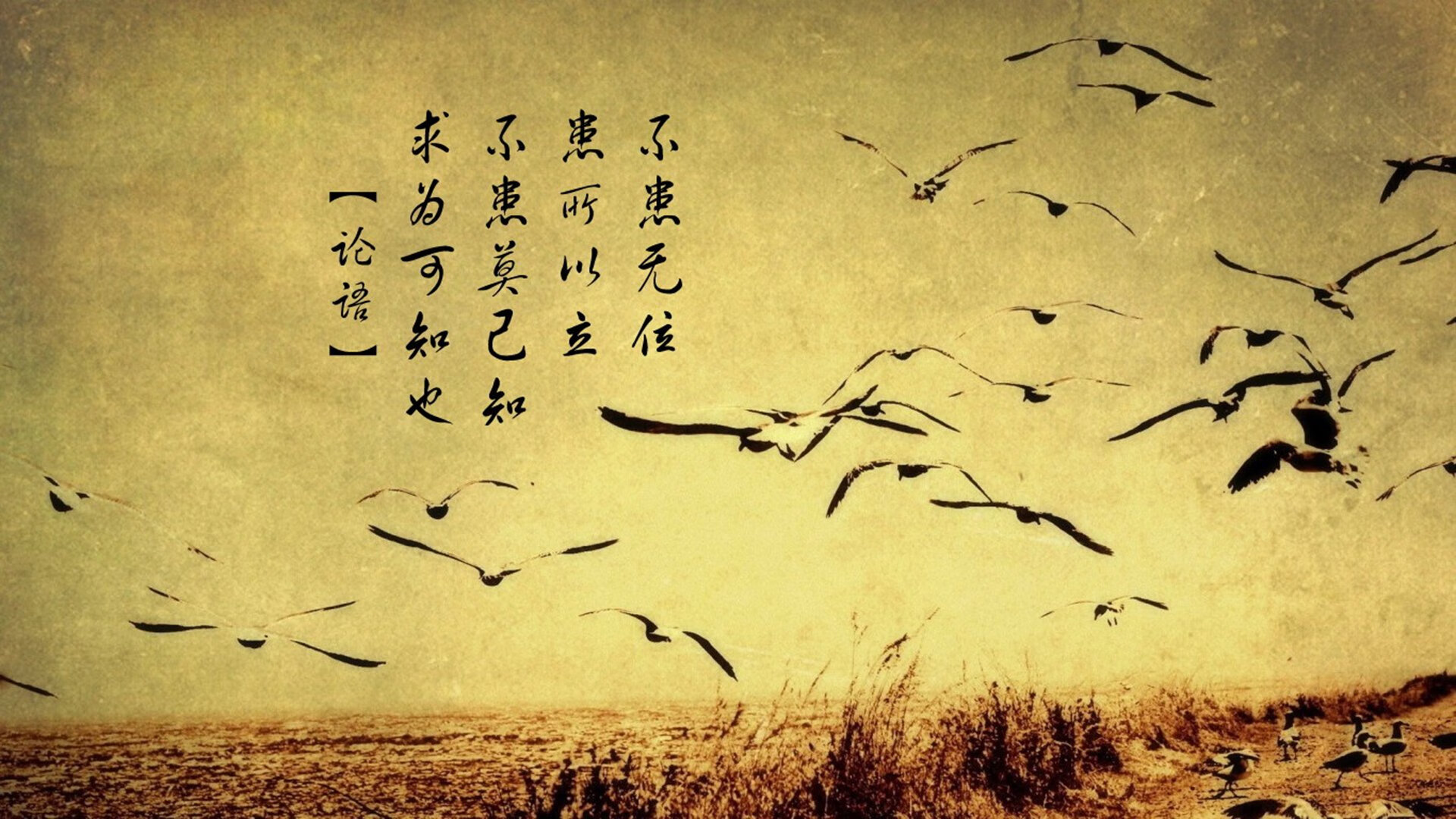 绿茵烽火遇冰封铠甲，美加墨世界杯焦点战与活塞打穿新疆队的战术对话