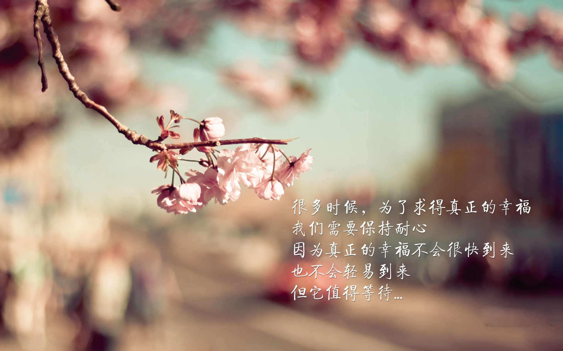 巅峰与荣耀，马刺险胜北京队，塔图姆终成关键先生