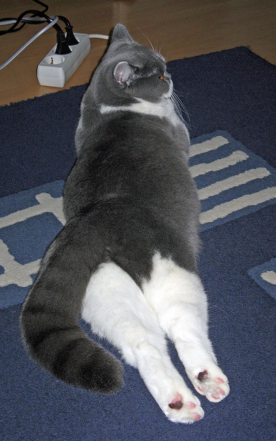 不沉战舰罗德里与沉没的曼城，巴黎如何在生死战中破解冠军密码？