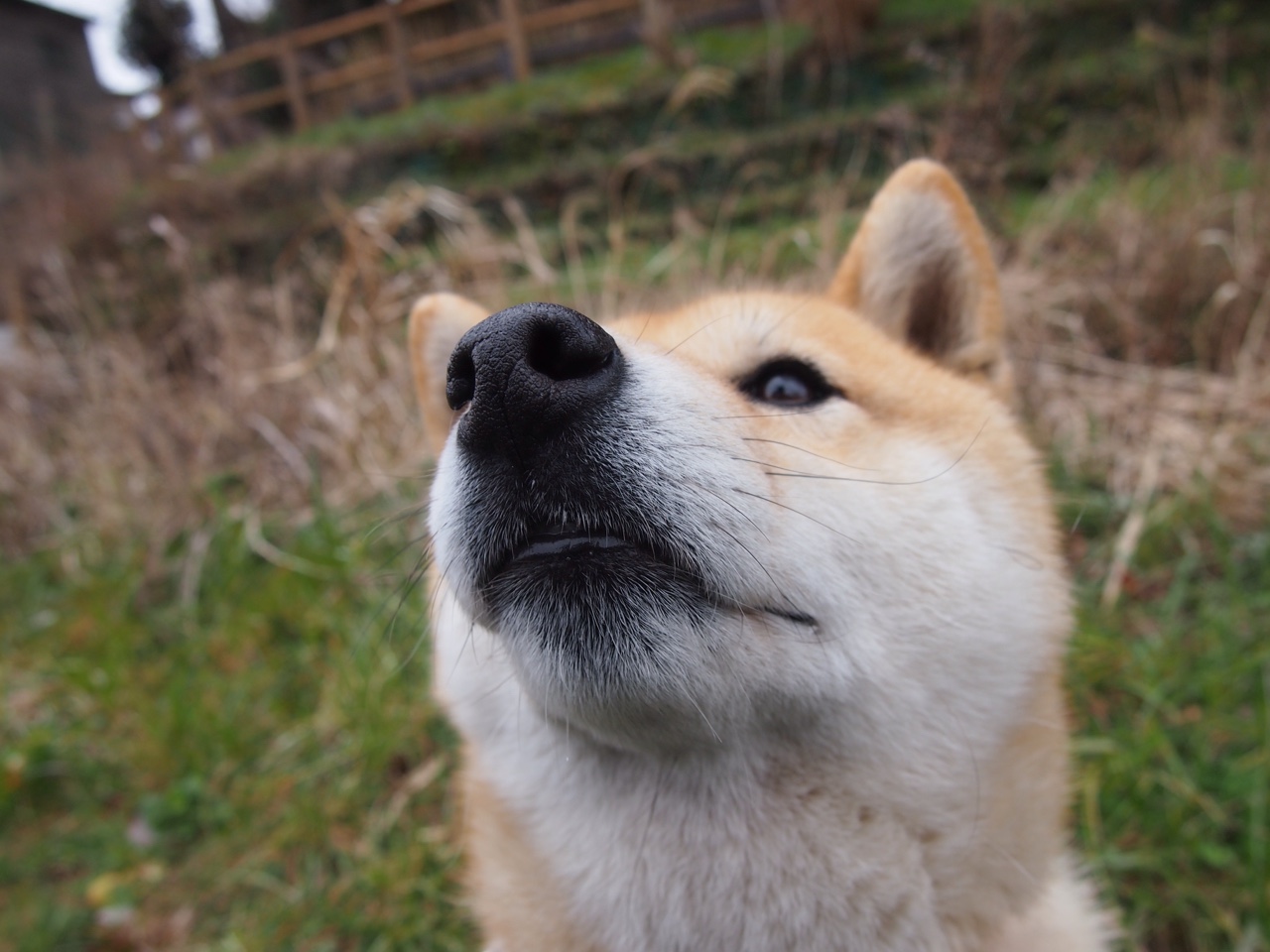 当NBA季后赛碰撞世界杯预选赛，一个夜晚，两场战争