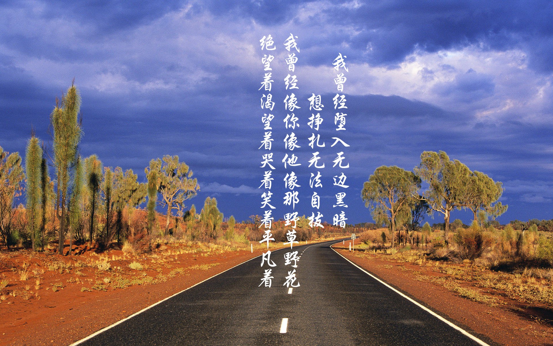 风从赤道来,当厄瓜多尔碾过郁金香,阿诺德的致命一击刺穿2026的世界秩序