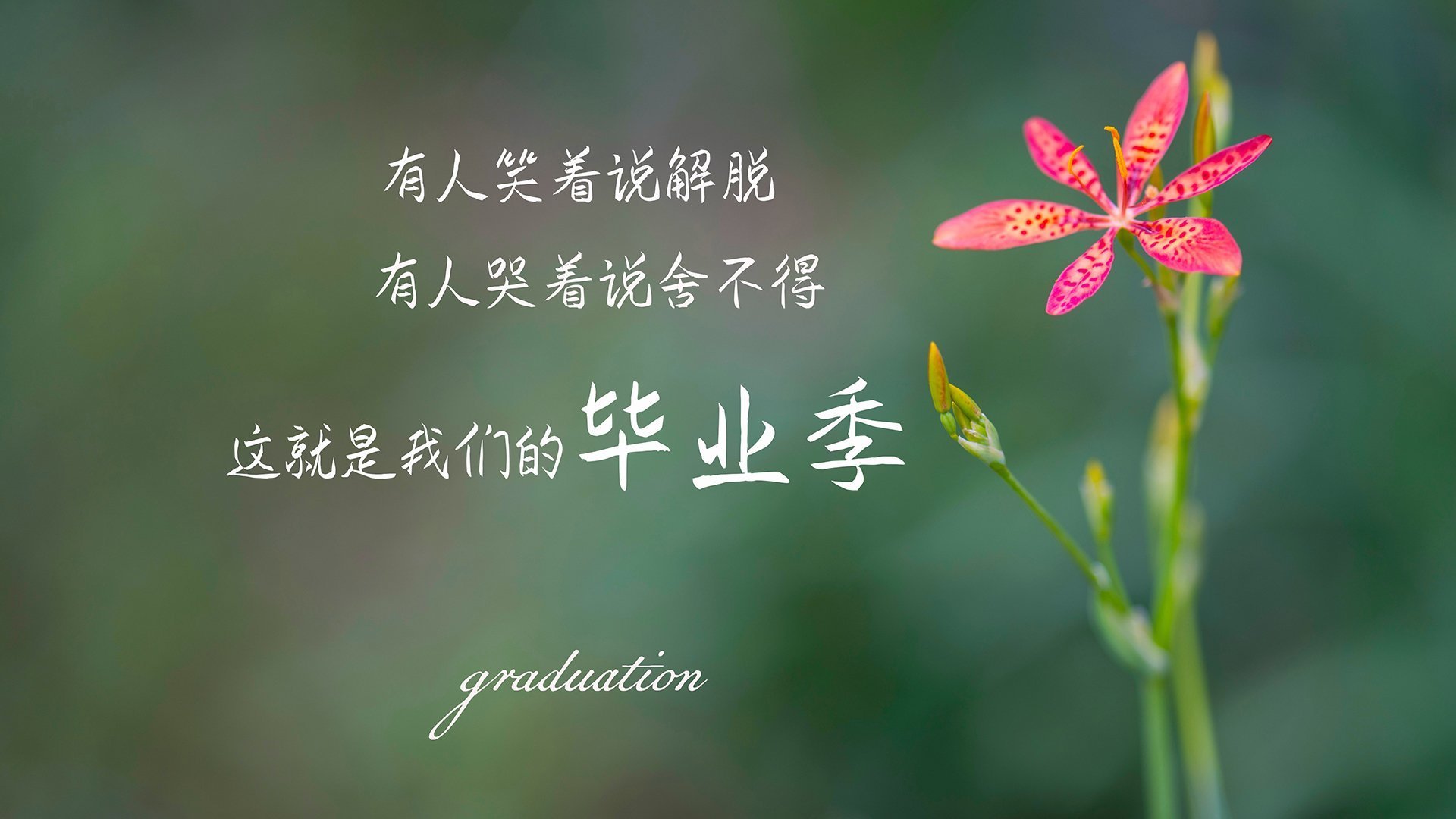 当东南亚风暴撞上日耳曼战车，佩德里在2026世界杯F组唯一性中改写足球哲学