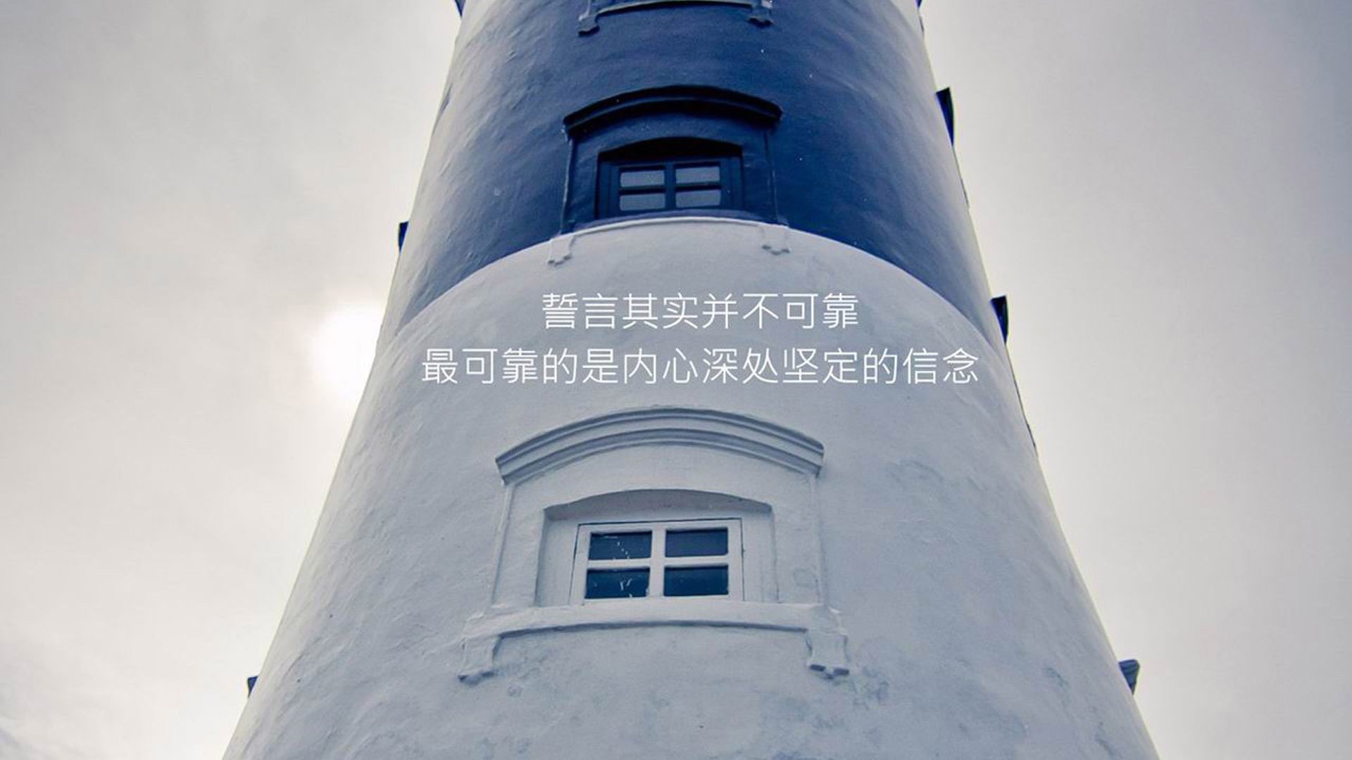 一瞬定乾坤，2026世界杯F组，费利克斯的致命一击与比利时战术的完美胜利