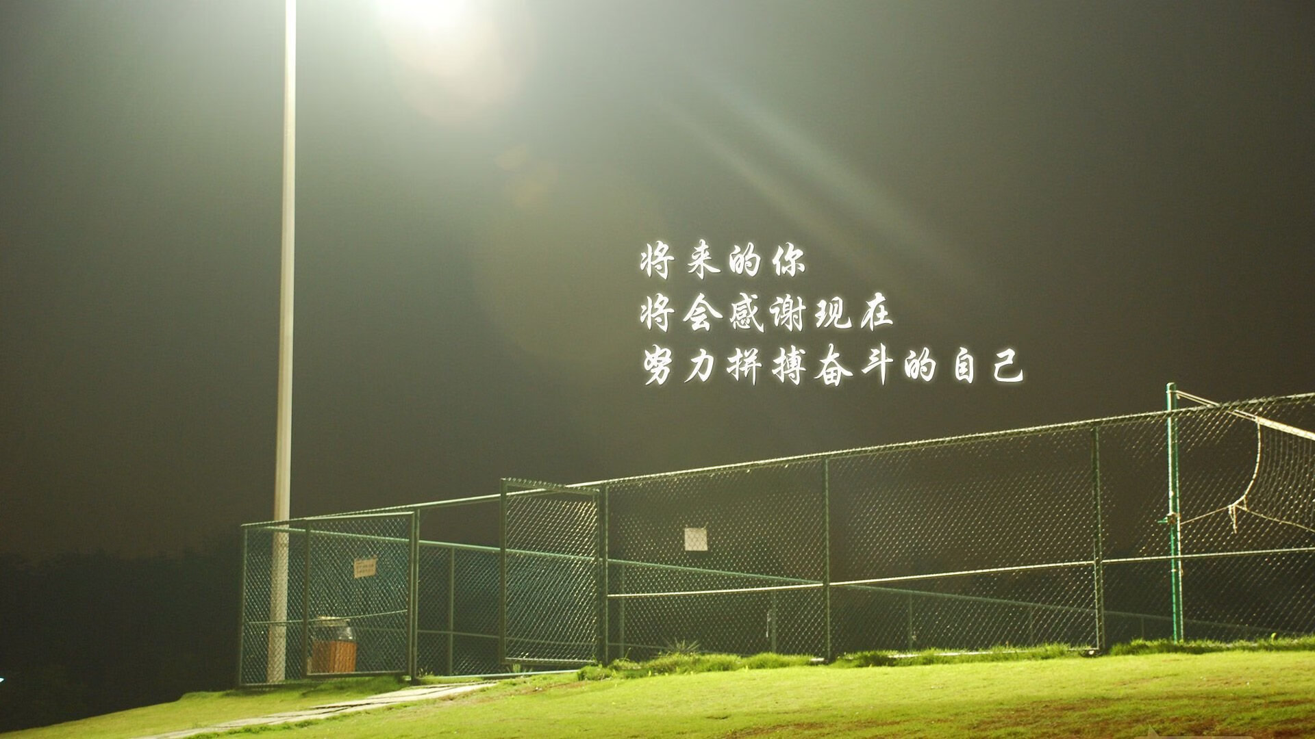 多哈之夜，黑马奔腾，哈基米导演的闪电战与保加利亚的冷血反击